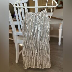 Francesca’s Sequin Fringe Mini Dress